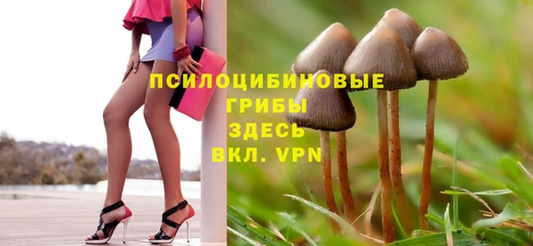 тгк Касимов
