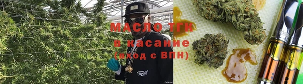 тгк Касимов